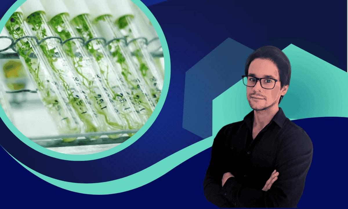 Imagen del curso Cultivo in vitro de tejidos vegetales 