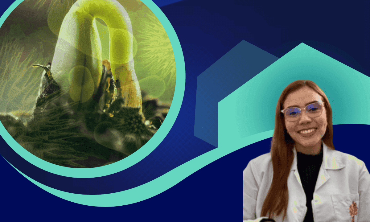 Imagen del curso Microbiología agrícola Control de Enfermedades y Promoción del Crecimiento Vegetal