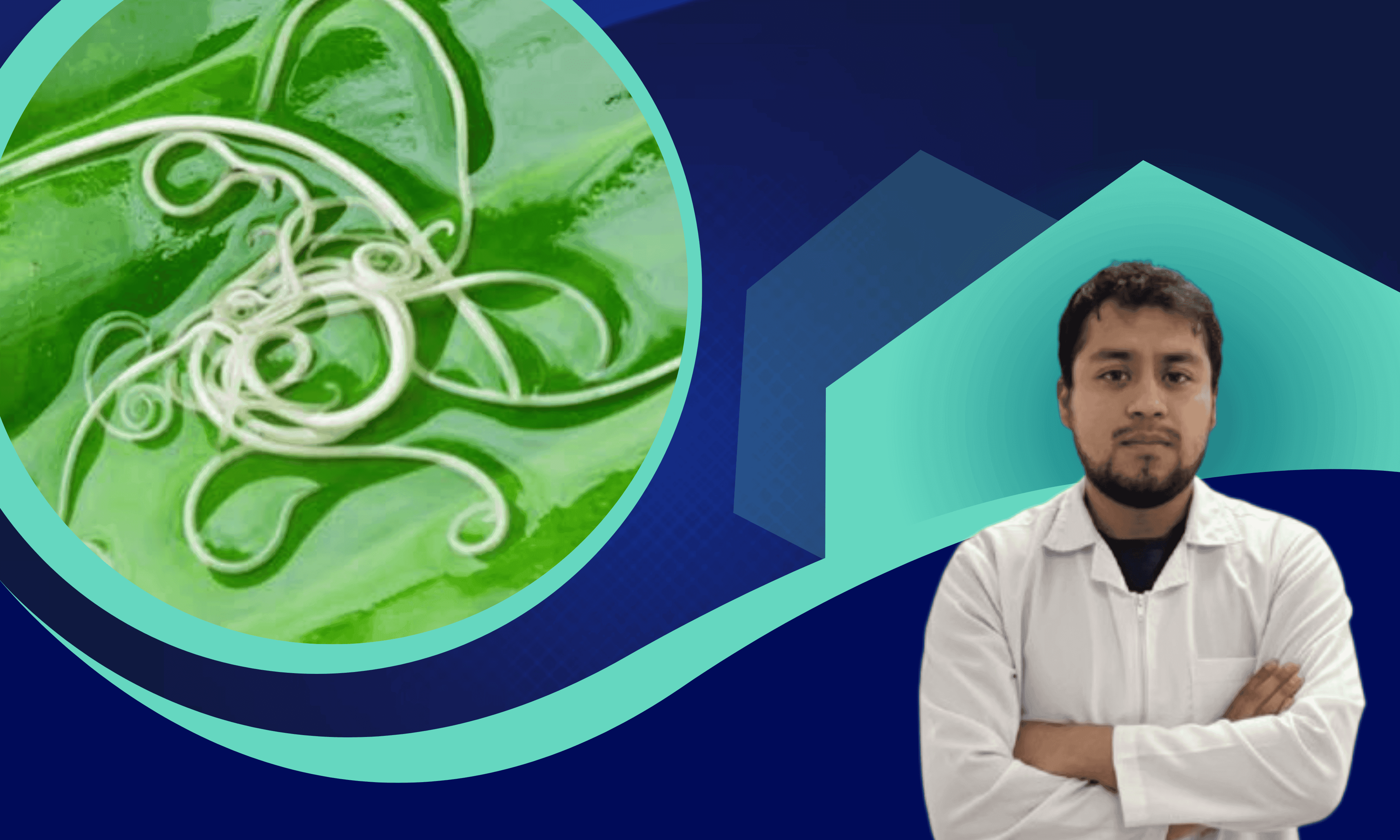 Imagen del curso Nematología Agrícola: Diagnóstico e Identificación de Nematodos Fitoparásitos
