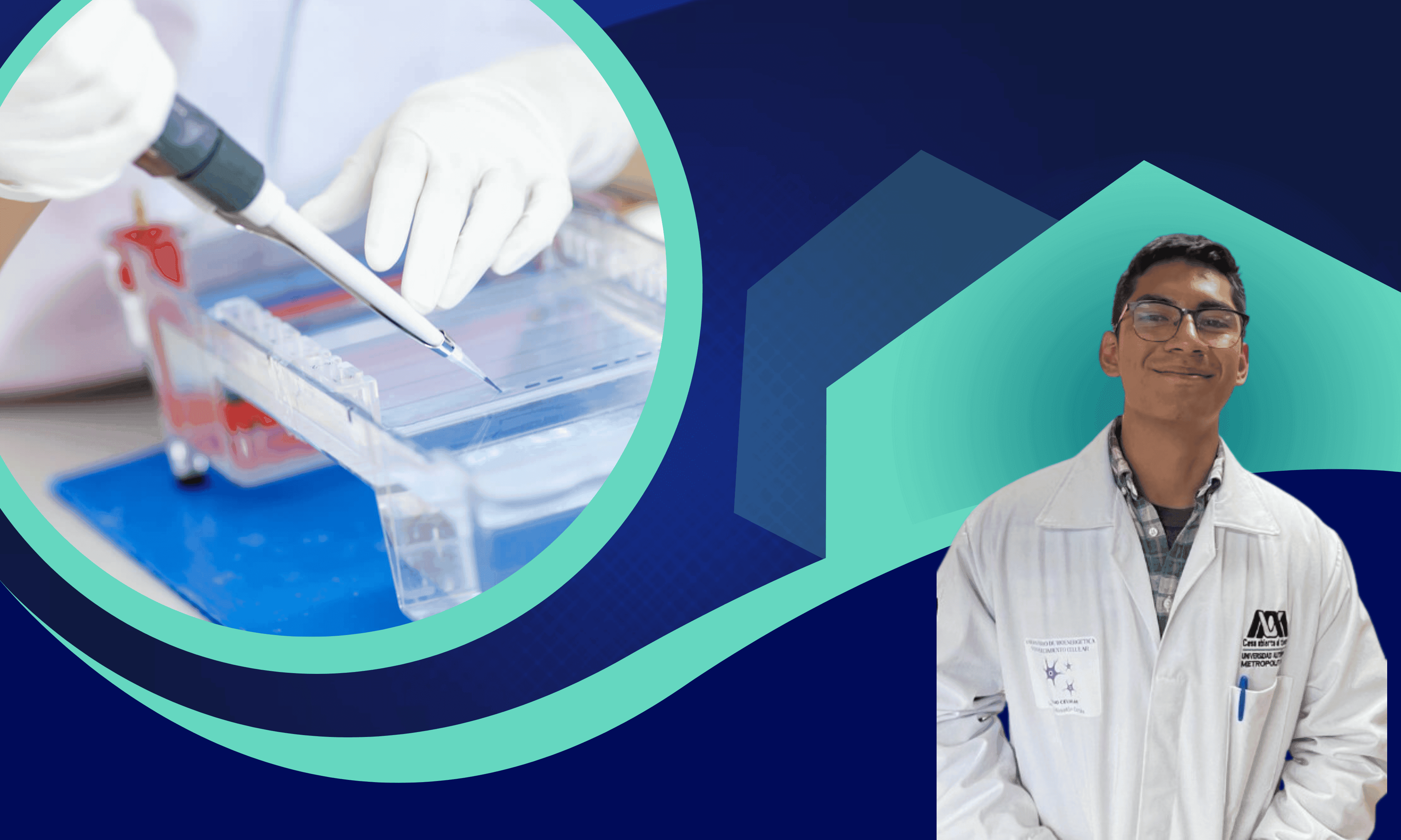 Imagen del curso Cuantificacion y Análisis de  Western Blot: Densitometría con ImageJ, Excel y R.