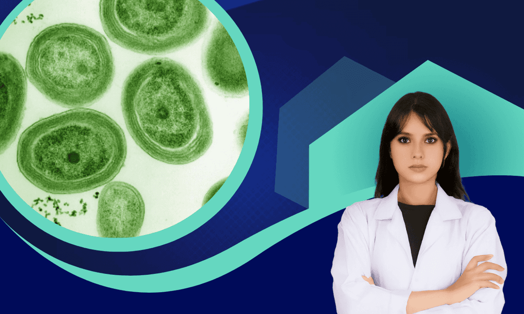 Imagen del curso Biotecnología de cianobacterias: Producción artesanal y aplicaciones funcionales