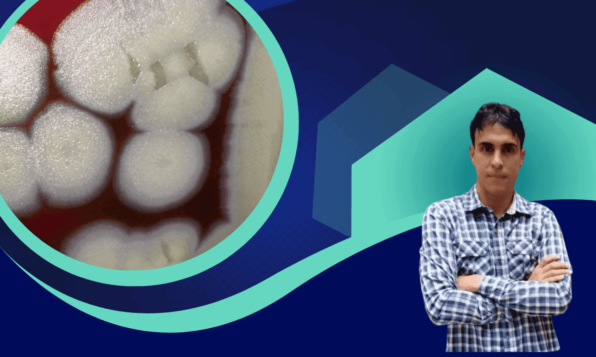 Imagen del curso Producción de Bacillus thuringiensis