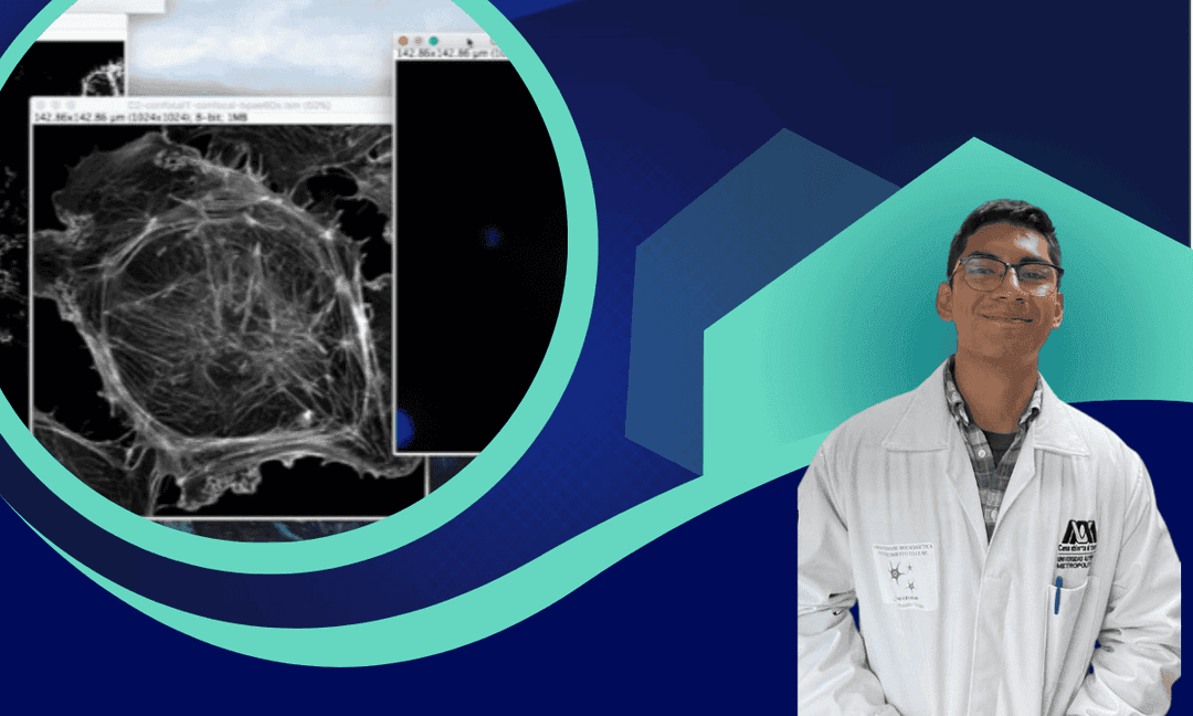 Imagen del curso Densitometría de imágenes científicas: análisis con imagej, excel y r studio