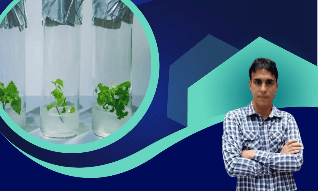 Imagen del curso Cultivo de tejidos in vitro: Fundamentos, Técnicas y Aplicaciones