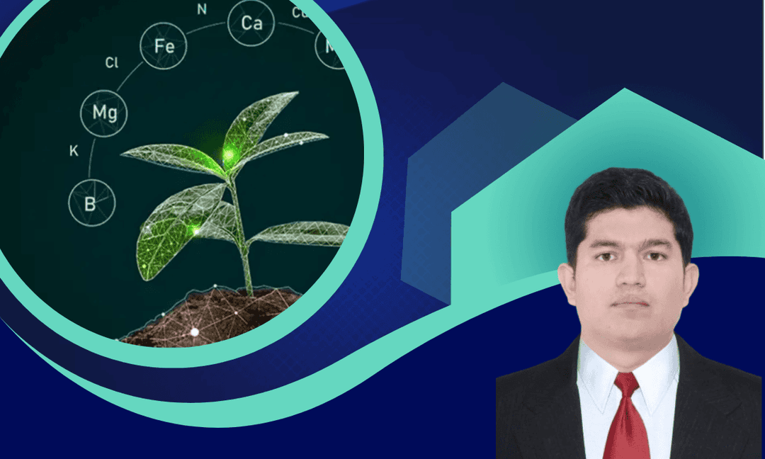 Imagen del curso Fisiología de Micronutrientes Aplicada al Manejo Nutricional del Cultivo