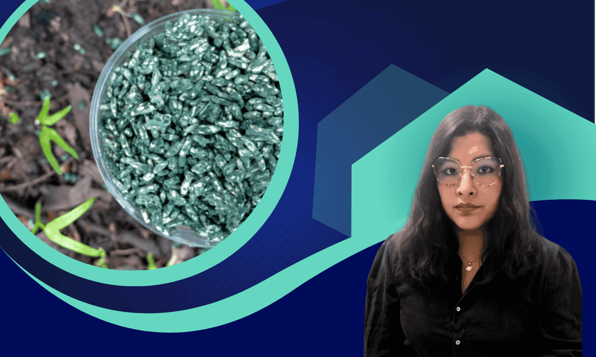 Imagen del curso Producción de Trichoderma harzianum: Producción en sustrato sólido a gran escala
