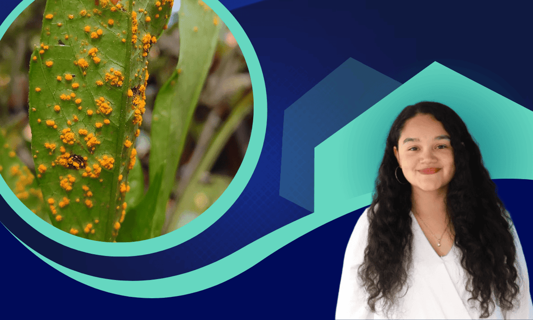 Imagen del curso Fundamentos de fitopatología y diagnóstico fitosanitario