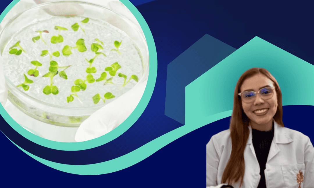 Imagen del curso Micropropagación vegetal: Fundamentos y aplicaciones Biotecnológicas