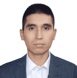 ARAUJO ALIAGA  ISMAEL ANTONIO