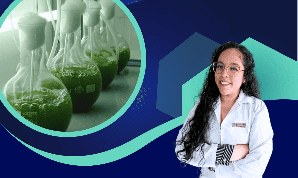 Imagen del curso Ecoinovación: Biorreactores de microalgas 