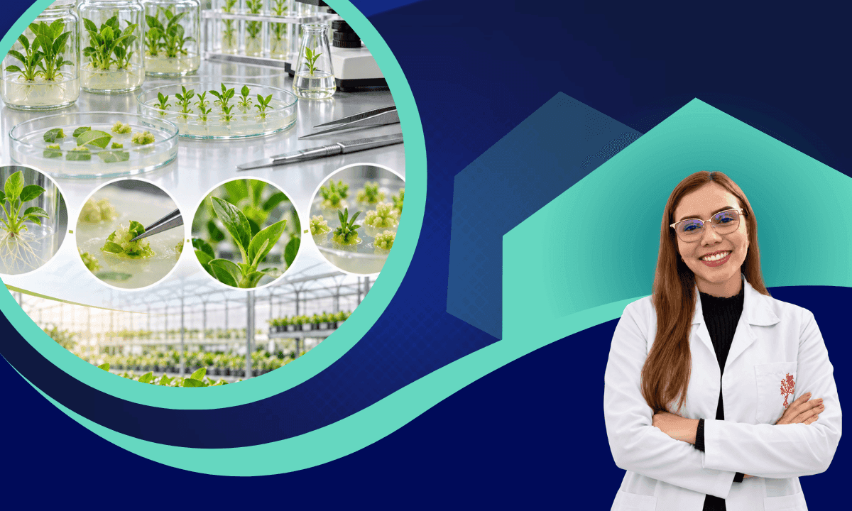 Biotecnología vegetal aplicada: Cultivo in vitro, mejoramiento y producción de plantas